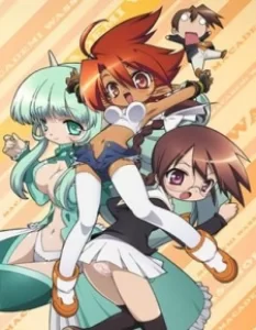 macademi wasshoi