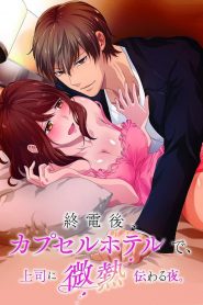 shuudengo capsule hotel de joushi ni binetsu tsutawaru yoru