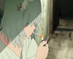 yanineko